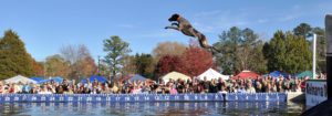 Waterfowl Festival | Favorite Eastern Shore Events | Powell Realtors