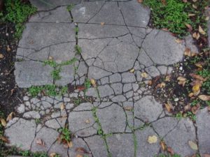 cracked sidewalk