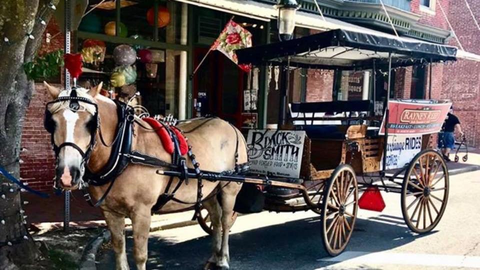 Horse and carriage at Christmastime